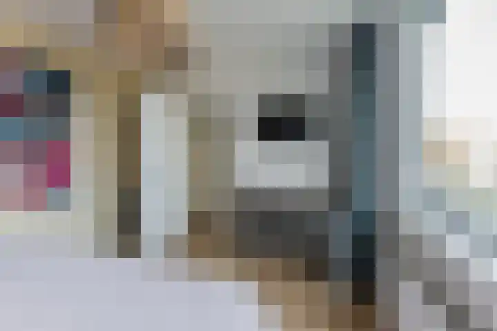 Postelse Hoeflaan 157 Tilburg thumbnail 20