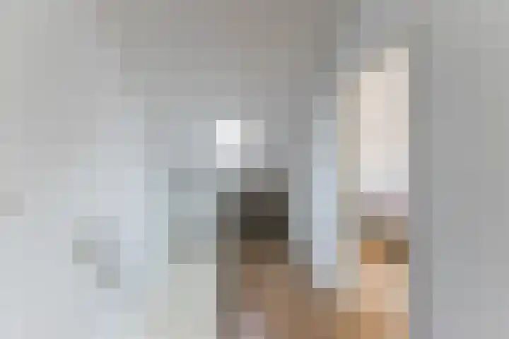 Postelse Hoeflaan 157 Tilburg thumbnail 29