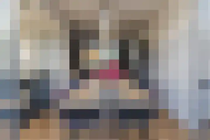 Postelse Hoeflaan 157 Tilburg thumbnail 8
