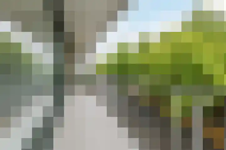 Postelse Hoeflaan 184 Tilburg thumbnail 24