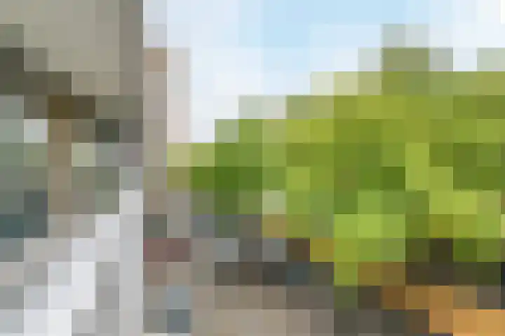 Postelse Hoeflaan 184 Tilburg thumbnail 26