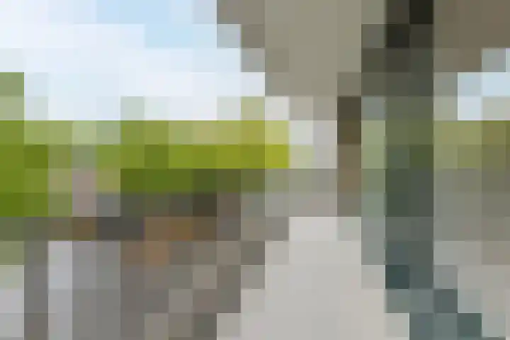 Postelse Hoeflaan 184 Tilburg thumbnail 27