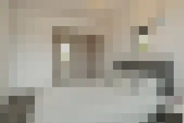 Postelse Hoeflaan 187 Tilburg thumbnail 16