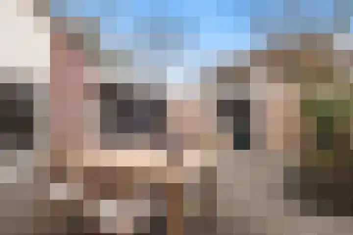 Postelse Hoeflaan 187 Tilburg thumbnail 30