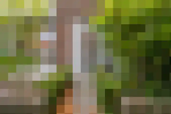 Postelse Hoeflaan 187 Tilburg thumbnail 7