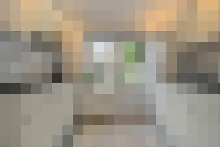 Postelse Hoeflaan 187 Tilburg thumbnail 9