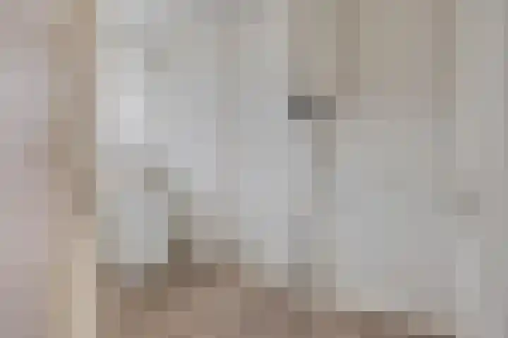 Postelse Hoeflaan 20 b Tilburg thumbnail 14