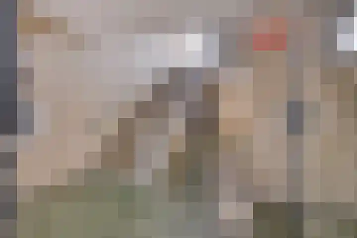Postelse Hoeflaan 20 b Tilburg thumbnail 28