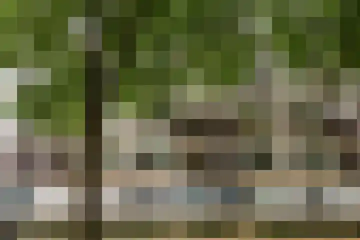 Postelse Hoeflaan 20 b Tilburg thumbnail 30