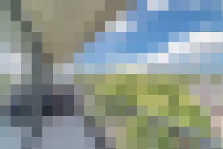 Postelse Hoeflaan 258 Tilburg thumbnail 22