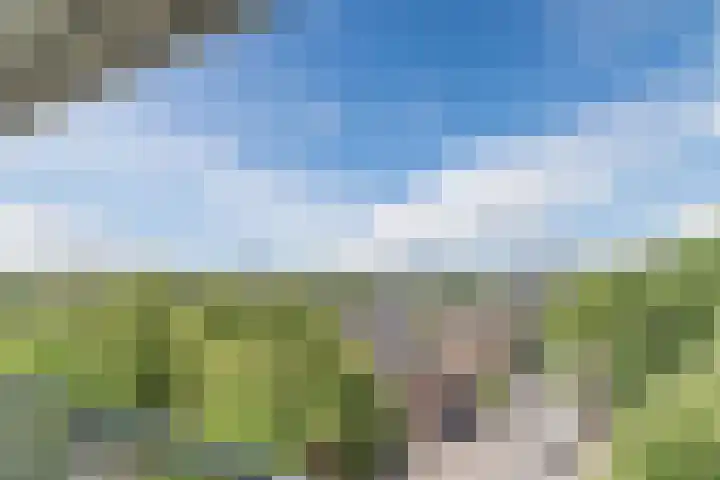 Postelse Hoeflaan 258 Tilburg thumbnail 23