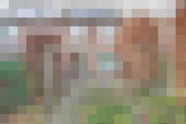 Postelse Hoeflaan 362 Tilburg thumbnail 18