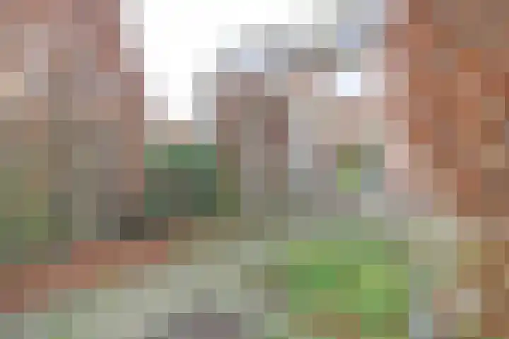 Postelse Hoeflaan 362 Tilburg thumbnail 19