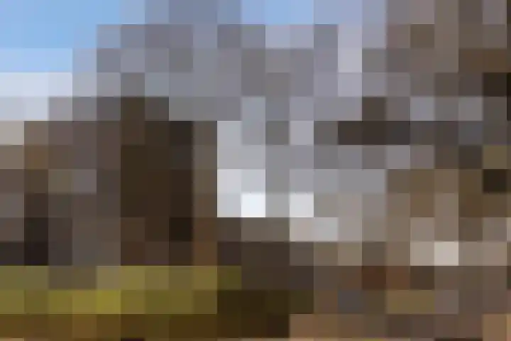 Postelse Hoeflaan 59 a Tilburg thumbnail 24