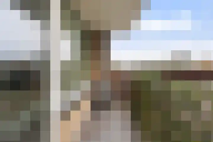 Postelse Hoeflaan 65 a Tilburg thumbnail 29