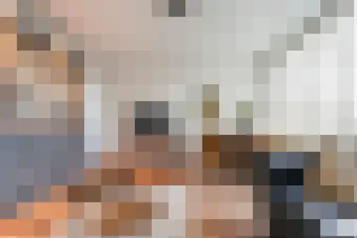 Postelse Hoeflaan 65 a Tilburg foto 3