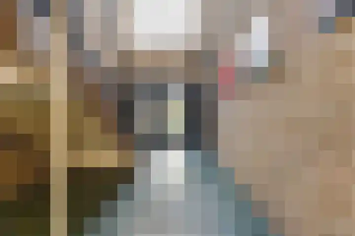 Postelse Hoeflaan 65 a Tilburg thumbnail 8