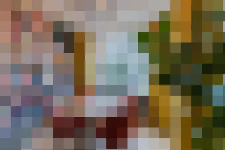Postelse Hoeflaan 83 a Tilburg thumbnail 7