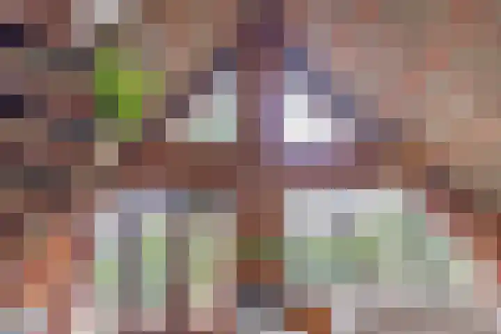 Postelseweg 185 b 2 Eersel thumbnail 30
