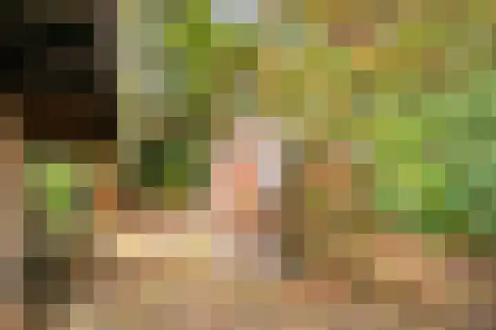 Postelseweg 185 b 2 Eersel thumbnail 35