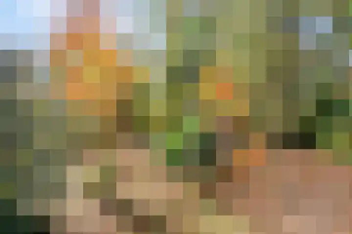 Postelseweg 185 b 2 Eersel thumbnail 36