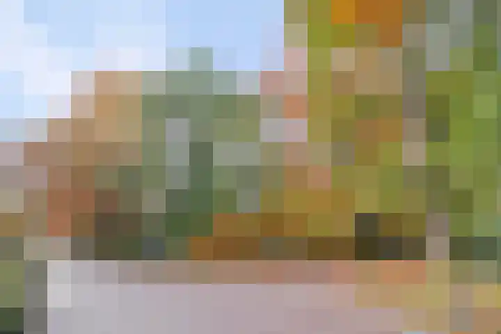 Postelseweg 185 b 2 Eersel thumbnail 39