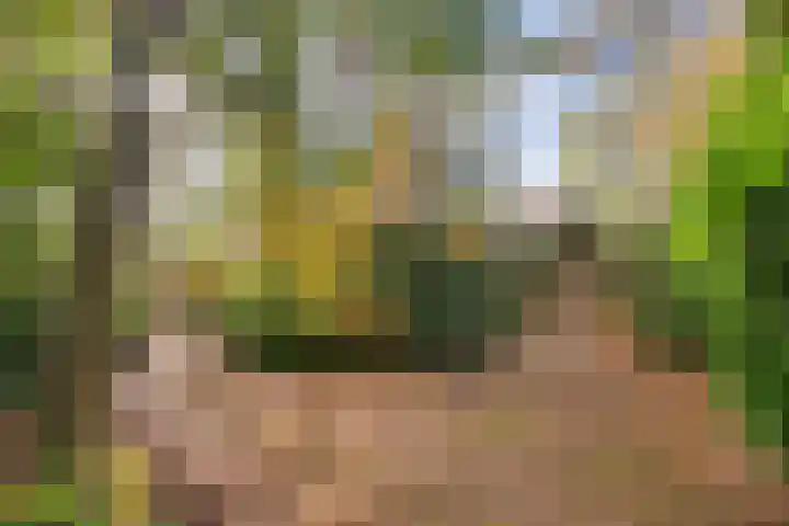 Postelseweg 185 b 2 Eersel thumbnail 4