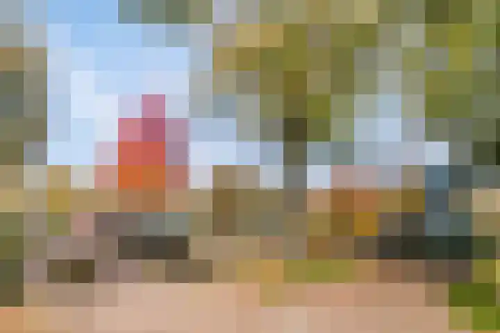 Postelseweg 185 b 2 Eersel thumbnail 41