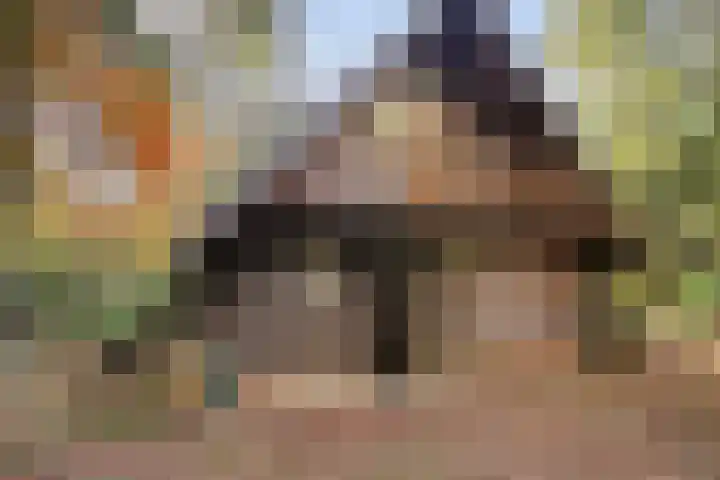 Postelseweg 185 b 2 Eersel thumbnail 6