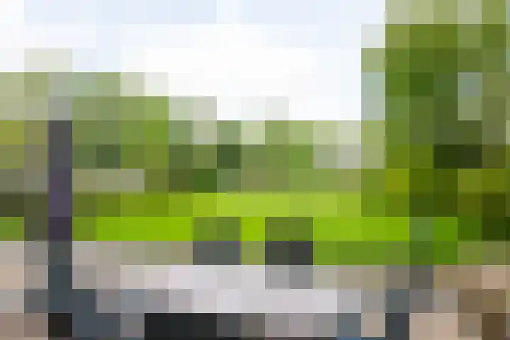 Logo Postema Makelaars & Taxateurs