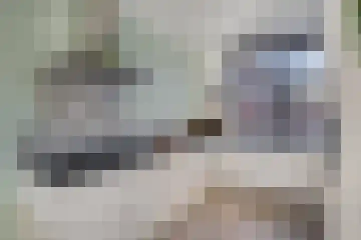 Postheuvel 19 Someren thumbnail 18