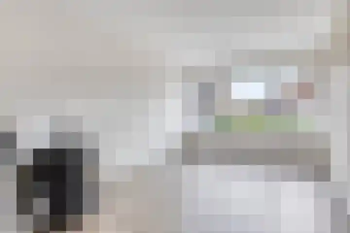 Posthoorn 9 Barger-Compascuum thumbnail 10