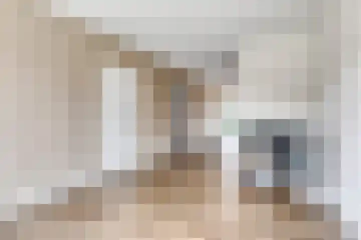 Posthoorn 9 Barger-Compascuum thumbnail 12