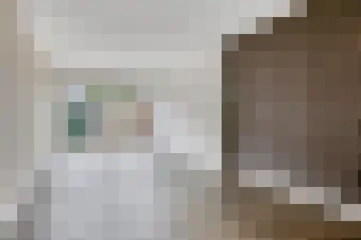 Posthoorn 9 Barger-Compascuum thumbnail 14