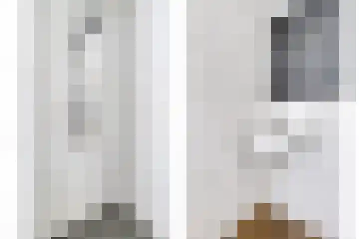 Posthoorn 9 Barger-Compascuum thumbnail 27