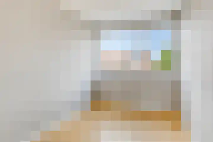 Posthoorn 9 Barger-Compascuum thumbnail 29