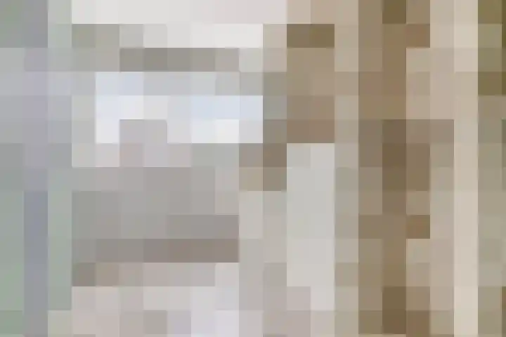 Posthoorn 9 Barger-Compascuum thumbnail 30