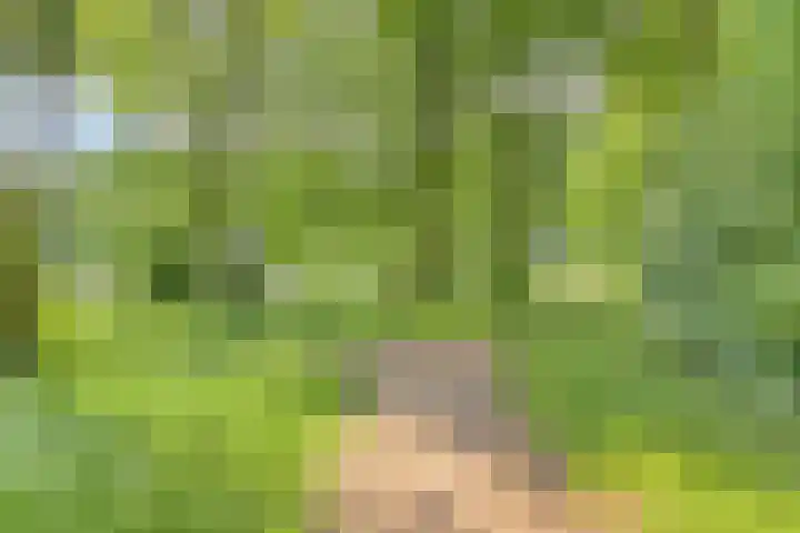 Posthoorn 9 Barger-Compascuum thumbnail 38