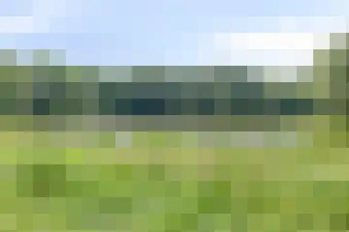 Posthoorn 9 Barger-Compascuum thumbnail 39