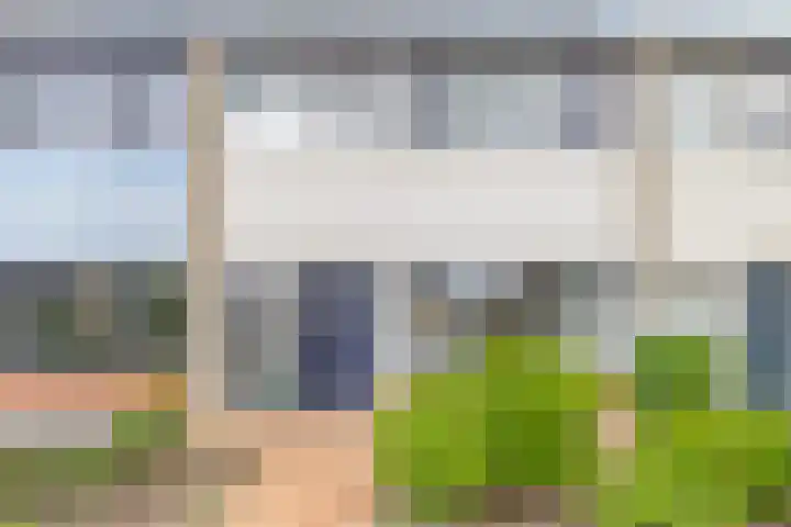 Posthoorn 9 Barger-Compascuum thumbnail 5