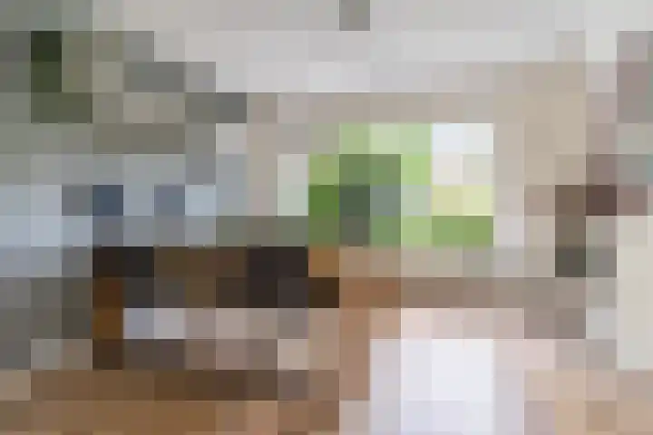 Posthumuspad 6 Eindhoven thumbnail 11