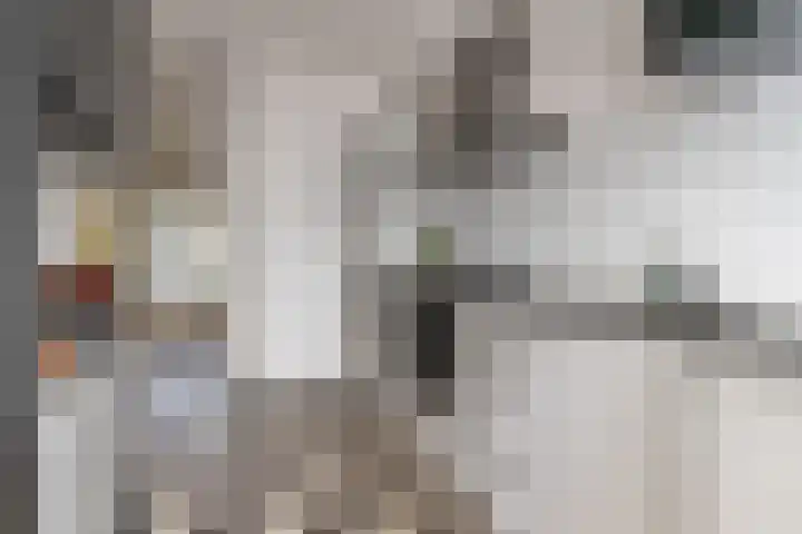 Posthumuspad 6 Eindhoven thumbnail 12