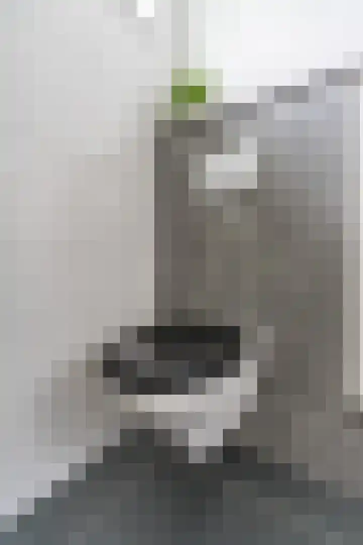 Posthumuspad 6 Eindhoven thumbnail 21