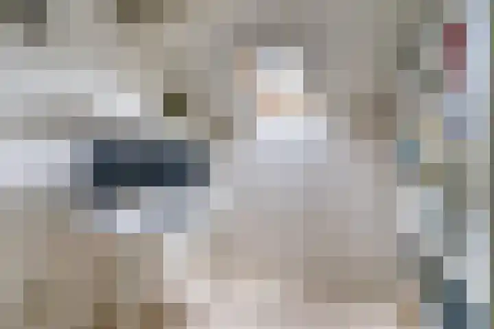 Posthumuspad 6 Eindhoven thumbnail 24