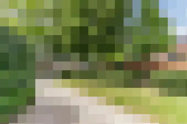 Posthumuspad 6 Eindhoven thumbnail 27