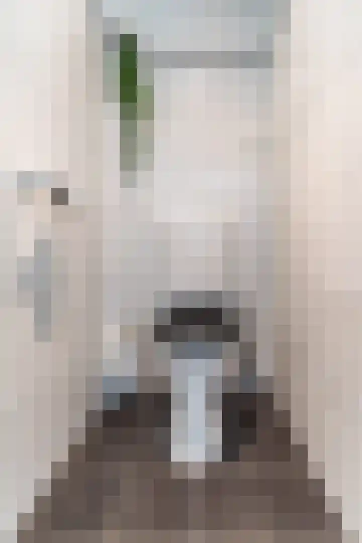Posthumuspad 6 Eindhoven thumbnail 8