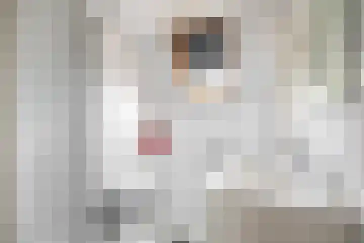 Postiljonhof 21 Tegelen thumbnail 17