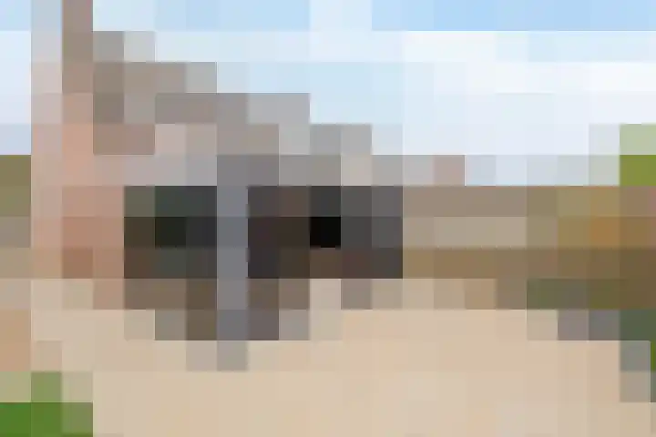Postiljonhof 21 Tegelen thumbnail 22