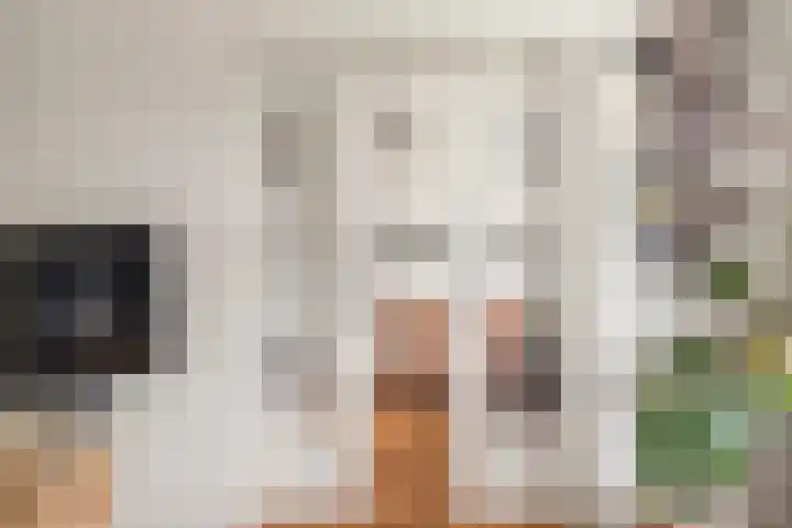 Postjeskade 151 1 Amsterdam thumbnail 10