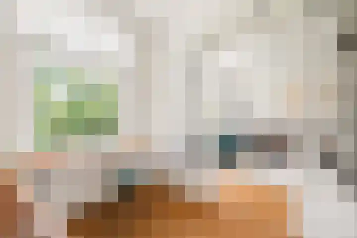 Postjeskade 151 1 Amsterdam thumbnail 12